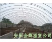 鍍塑大棚骨架，鍍塑雙梁養(yǎng)殖大棚建造，安陽(yáng)金輝公司